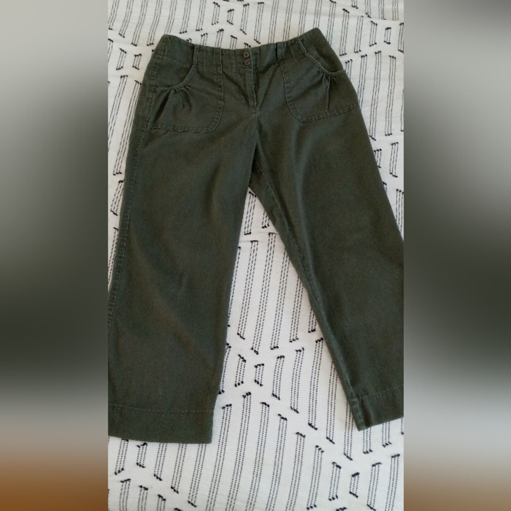 Ann Taylor Loft Capri Pants